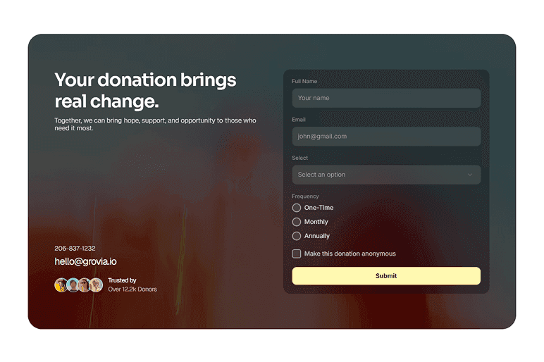 Charity Donation Form preview